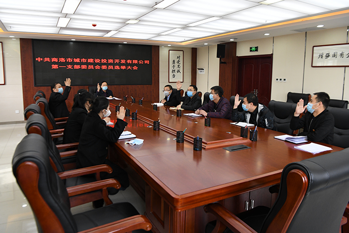 党建引领谋发展  逐梦前行谱新篇 ——市城投公司党总支所属各支部召开党员大会选举产生第一届支委成员